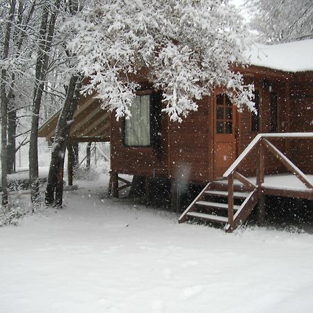 Cabanas Roble Quemado Las Trancas Ngoại thất bức ảnh