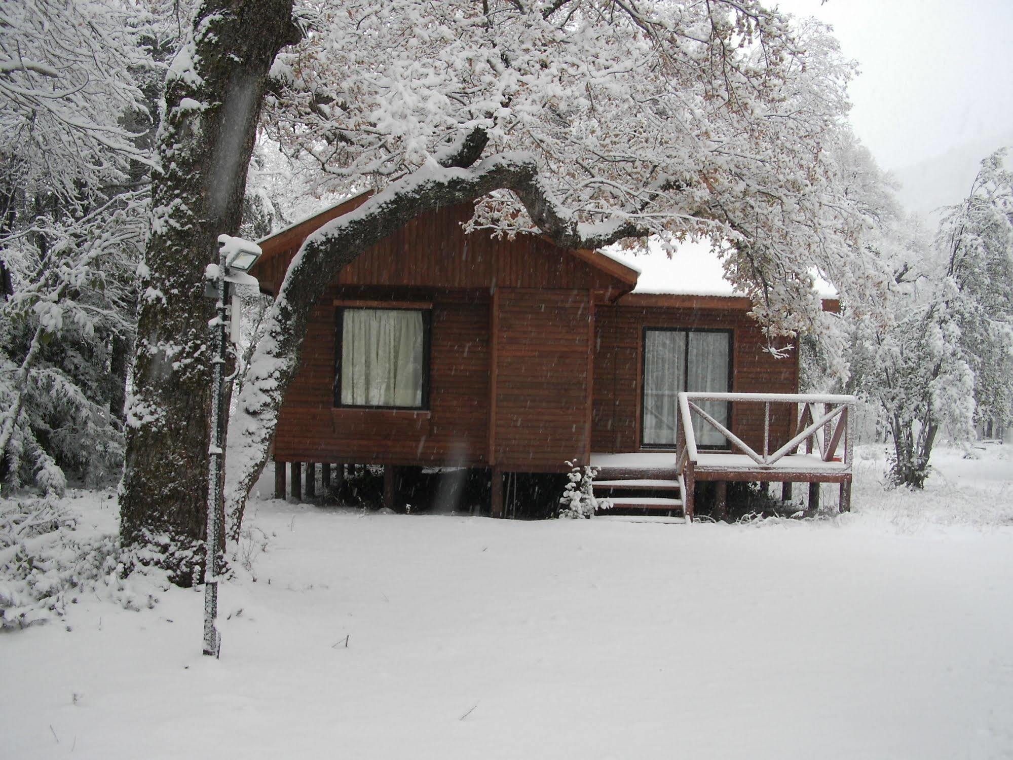 Cabanas Roble Quemado Las Trancas Ngoại thất bức ảnh